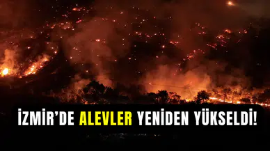 İzmir Aliağa’da orman yangını: Ekipler havadan ve karadan seferber oldu