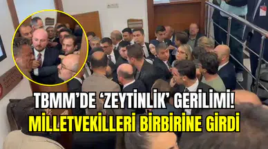 TBMM komisyonunda ortalık karıştı: Zeytinlik yasası tartışması, kavgaya dönüştü