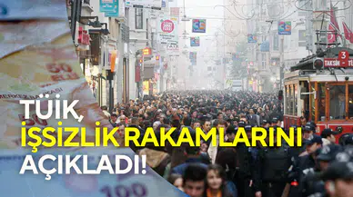 TÜİK, Mayıs 2025 işsizlik rakamlarını açıkladı: İstihdam edilen kişi sayısı 32,5 milyon oldu