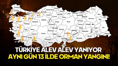 Türkiye Alev Alev Yanıyor: Aynı Gün 13 İlde Orman Yangını!