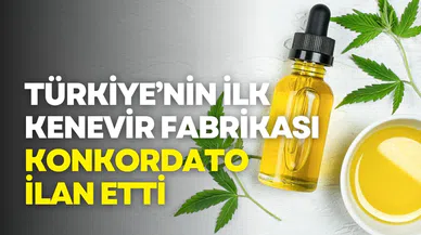 Türkiye’nin ilk kenevir fabrikası konkordato ilan etti
