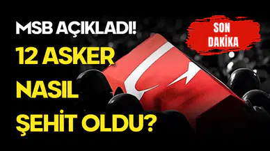12 Asker Nasıl Şehit Oldu? Milli Savunma Bakanlığı Açıklama Yaptı!