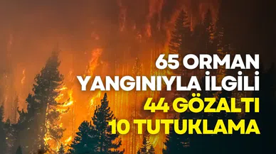 65 Orman Yangınıyla İlgili 44 Gözaltı, 10 Tutuklama: Bakan Yerlikaya Detayları Paylaştı