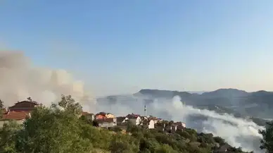 Bursa’da başlayan orman yangını Balıkesir’e sıçradı: Köy tahliye edildi, 2 kişi gözaltında