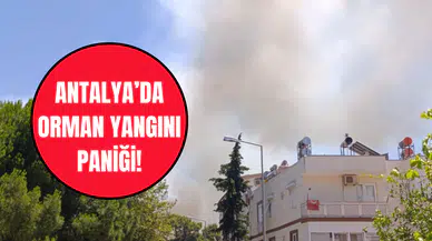 Antalya’da orman yangını: Lara’da alevler yükseldi
