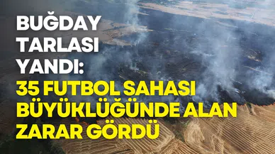 Buğday tarlası yandı: 35 futbol sahası büyüklüğünde alan zarar gördü