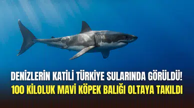 Dev canavar Türkiye sularında görüldü: Mavi köpek balığı panik yarattı