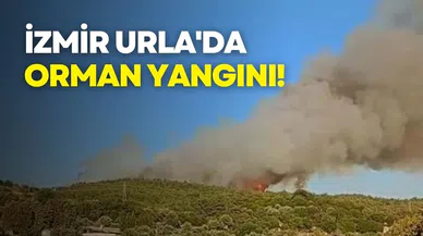 İzmir Urla'da orman yangını!