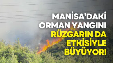 Manisa’daki orman yangını rüzgarın da etkisiyle büyüyor!