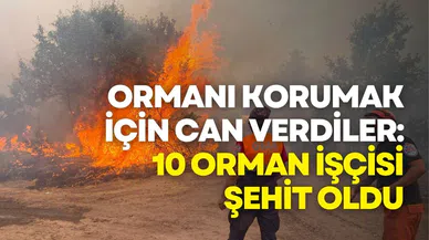 Ormanı Korumak İçin Can Verdiler: 10 Orman İşçisi Şehit Oldu