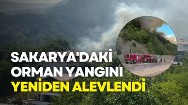 Sakarya'daki orman yangını yeniden alevlendi