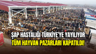 Şap hastalığı Türkiye genelinde yayılıyor: Tüm hayvan pazarları kapatıldı