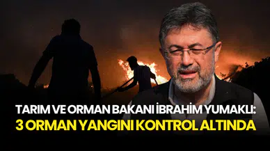 SON DAKİKA... Bakan Yumaklı Açıkladı: Hatay, Bursa ve Edirne’deki 3 Orman Yangını Kontrol Altında