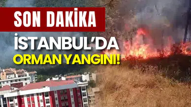 SON DAKİKA: İstanbul Alev Alev! Aydos Ormanı'nda Yangın Paniği