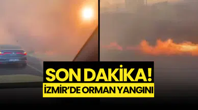 SONDAKİKA...İzmir Aliağa’da Orman Yangını!