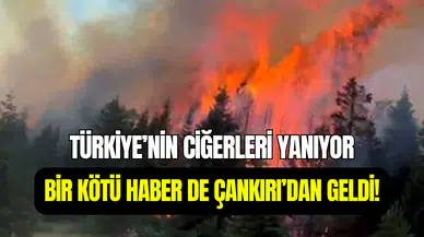Türkiye’nin ciğerleri yanıp kül oluyor: Bu kez Çankırı’da yangın çıktı