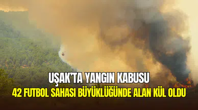 Uşak’ta orman yangını felaketi: 42 futbol sahası büyüklüğündeki alan kül oldu