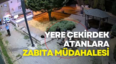 Yalova’da yere çekirdek atanlara zabıta müdahalesi: Kabukları kendilerine temizlettirdiler