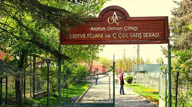 AOÇ satıldı mı? Şok eden iddia!