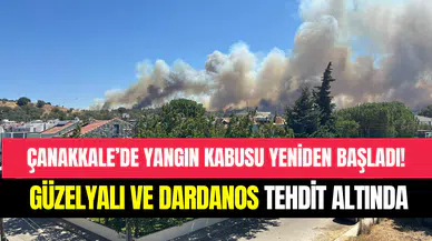 Çanakkale’de orman yangını yeniden başladı: Güzelyalı ve Dardanos tehdit altında