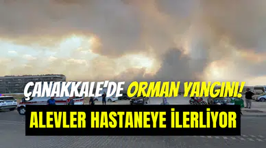 Çanakkale’deki orman yangını devlet hastanesine yaklaştı
