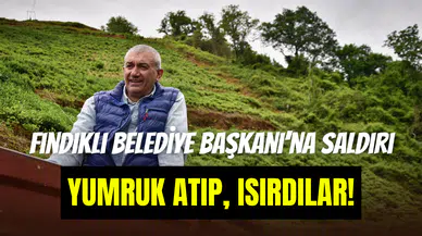 Fındıklı Belediye Başkanı Ercüment Çervatoğlu’na sokak ortasında saldırı