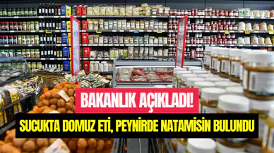 Gıda denetiminde skandal tespit: Sucukta domuz eti, peynirde natamisin bulundu