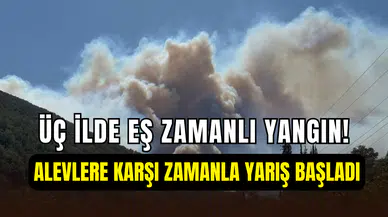 Kocaeli, Bartın ve Bursa’da eş zamanlı orman yangını