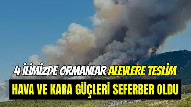 Manisa, Bolu, Mersin ve Kahramanmaraş’ta orman yangını çıktı