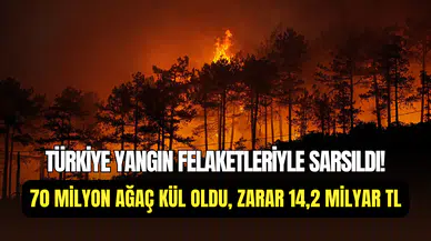 Türkiye’de 2025 yılının yangın bilançosu: 70 milyon ağaç kül oldu
