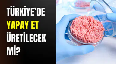 Türkiye’de yapay et üretilecek mi? Bakan Yumaklı’dan İklim Kanunu açıklaması