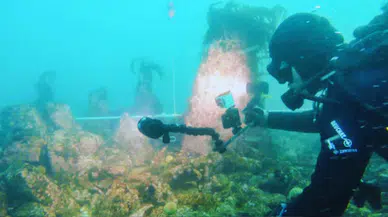 Fransa’da dev keşif: 7 bin yıllık duvar