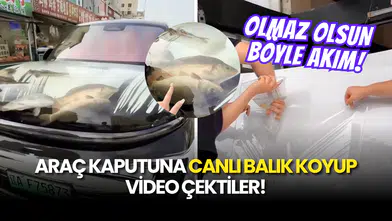 Araç Kaputuna Canlı Balık Koyup Video Çektiler!