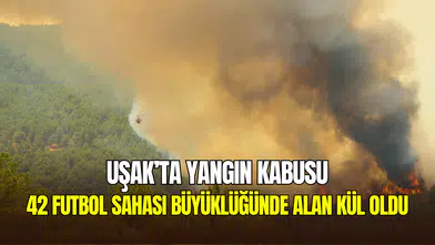 Uşak’ta orman yangını felaketi: 42 futbol sahası büyüklüğündeki alan kül oldu