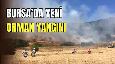 Bursa’da yeni orman yangını: Yenişehir’de alevler yükseldi