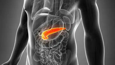 İspanyol bilim insanlarından pankreas kanserinde çığır açan buluş