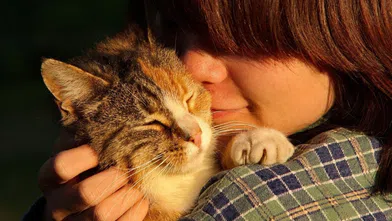 Araştırma: Kediler sahiplerini duygusal bir dayanak noktası olarak görmüyor