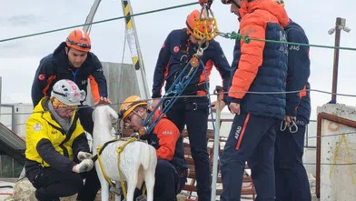 AFAD’dan afetlerde hayvanları korumaya yönelik proje