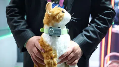 PetPhone tanıtıldı: Evcil hayvanlar sahiplerini arayabilecek
