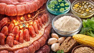 Probiyotik ve lifler, çölyak hastaları için bağırsak sağlığını artıyor