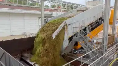 Üzüm üreticisinin yüzü gülüyor: Fabrika kapılarında hareketli saatler