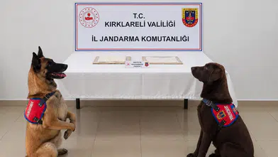 Cezaevi girişinde yakayı ele verdi: Tuvalete sakladığı maddeler başını yaktı