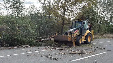 Tekirdağ'da fırtına hayatı felç etti: Devrilen ağaçlar ve direkler ulaşımı aksattı