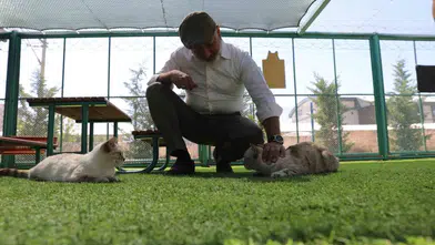 Kayseri'de patili dostlar için özel yaşam alanı: Kedi Kasabası yoğun ilgi görüyor