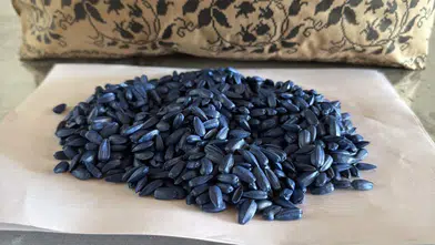 Yerli ayçiçeği tohumu pazarda hızla yükseliyor