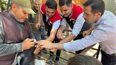 Bozdoğan pazarında kurbanlıklar mercek altında