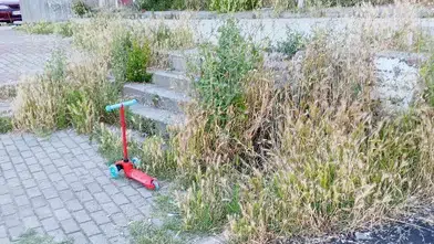 Bilecik’te çocuklar parkta değil otların arasında oyun oynuyor