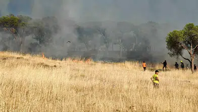 Ayvalık Sakarya Mahallesi’nde ormanlık alana yakın yangın korkuttu