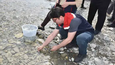 Sinop denizlerinde nesli tükenen mersin balığı seferberliği