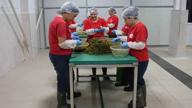 Efelerli kadınların el emeği dünyaya açılıyor